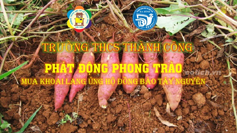 Kết nối nông sản ủng hộ nông dân miền Trung Nam Bộ – hoạt động thiện nguyện quen thuộc của trường THCS Thành Công.
