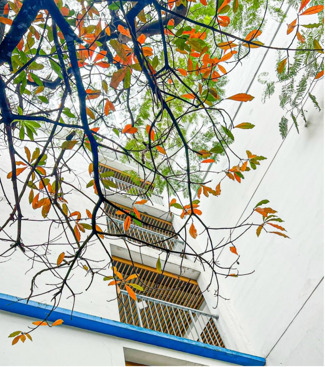 Tản mạn tháng 12