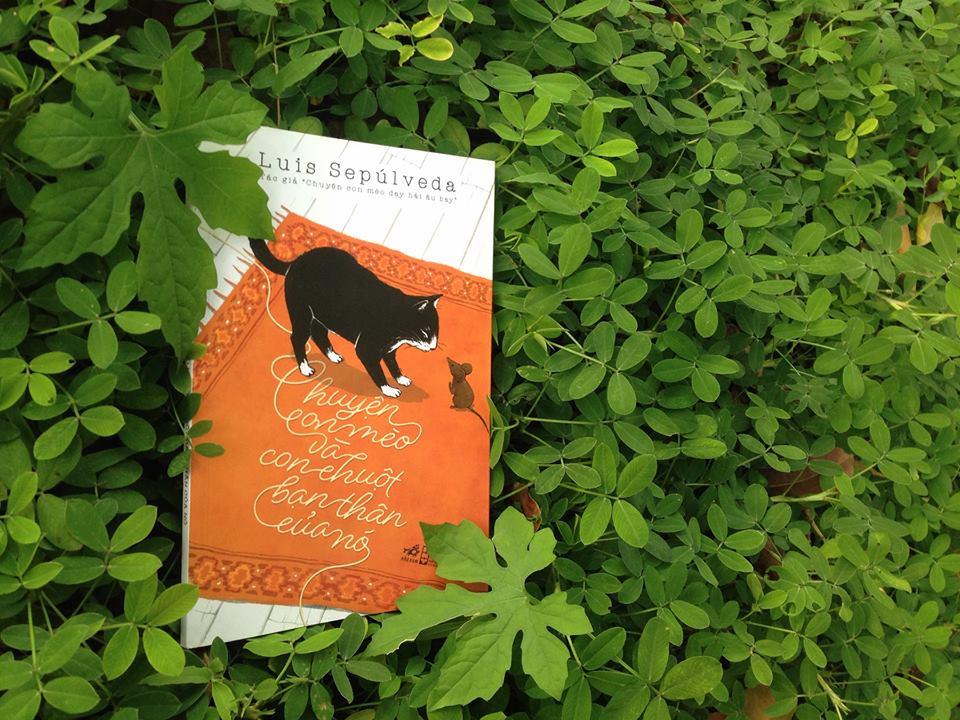 “Chuyện con mèo và con chuột bạn thân của nó” – Tình bạn vượt qua mọi rào cản