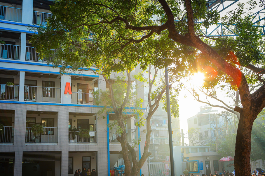 Tản mạn Thành Công…