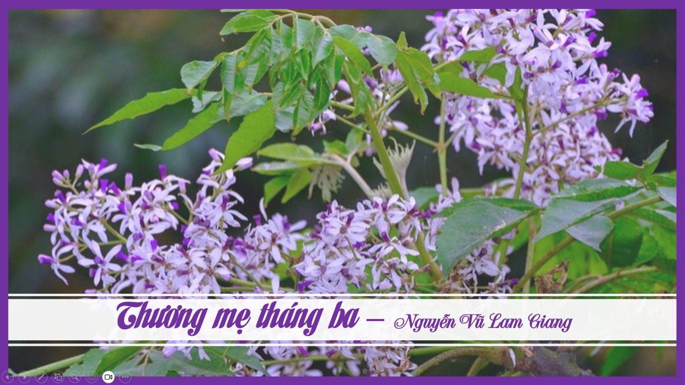 Thương mẹ tháng ba