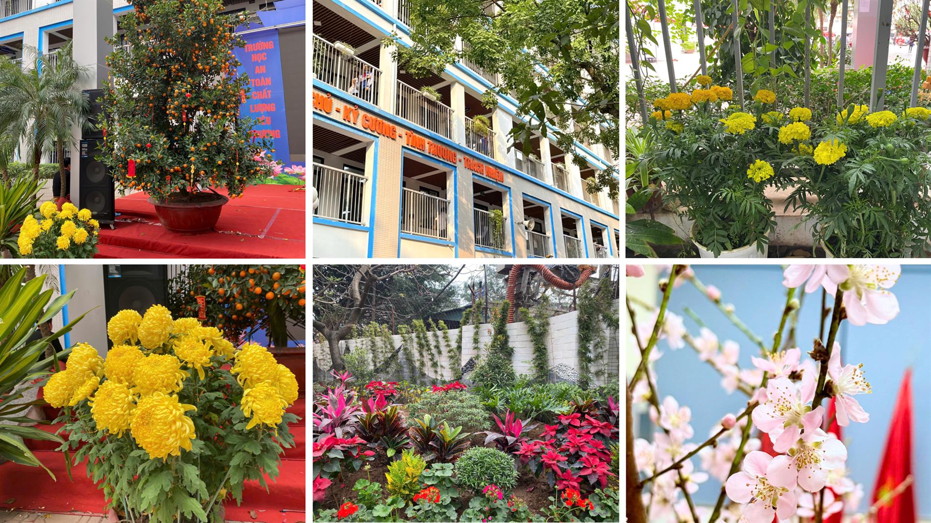 Không khí rộn ràng những ngày cận Tết – Xuân đã về trên từng góc phố