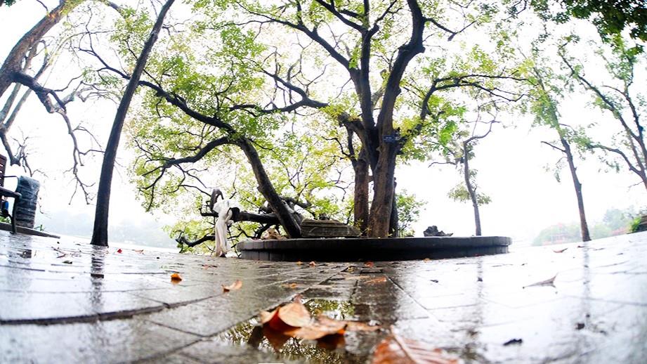 Mùa nồm: nét đặc sắc rất riêng của Hà Nội