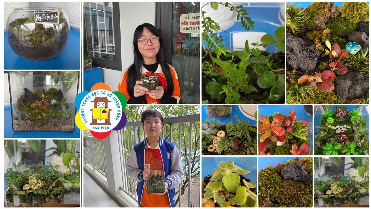🌸 Hành Trình Gieo Mầm Xanh – 6A & Thế Giới Terrarium