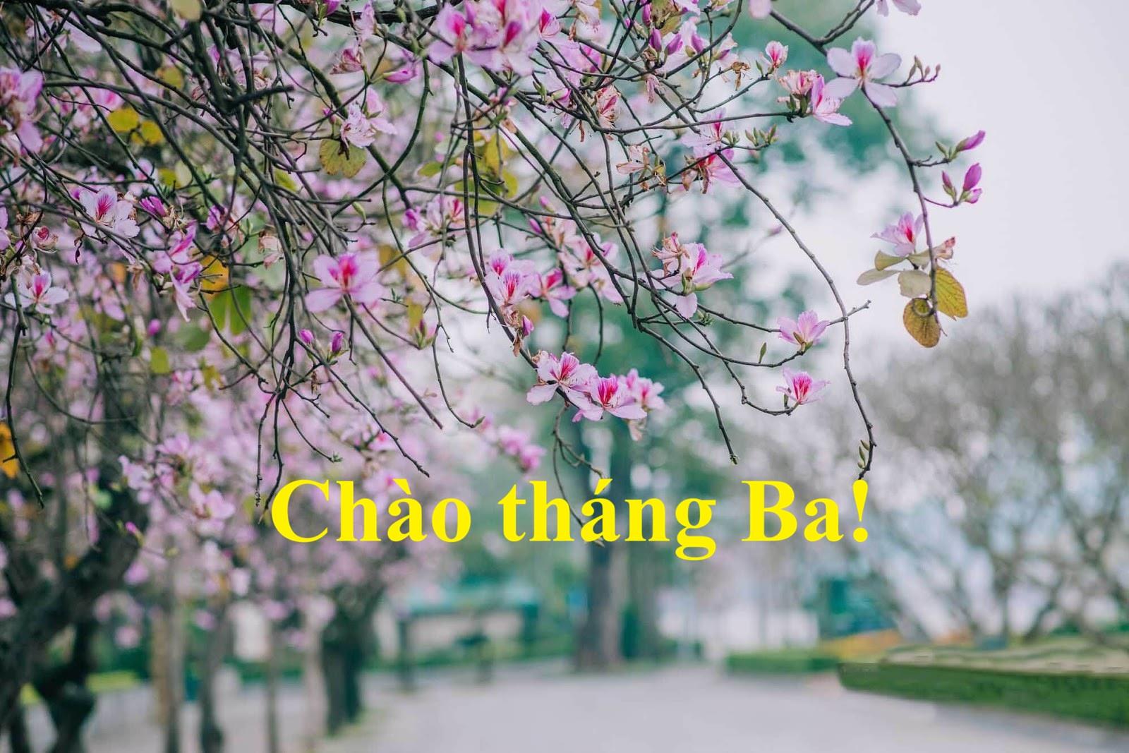 Chào tháng Ba!