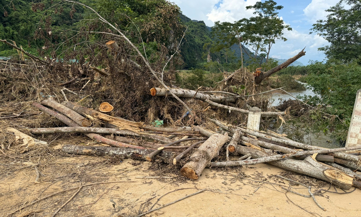 C:\Users\Nguyễn Thu Hòa\Downloads\z7112189922676_2f7a243080962fb5d2a3b4fd7556e989.jpg