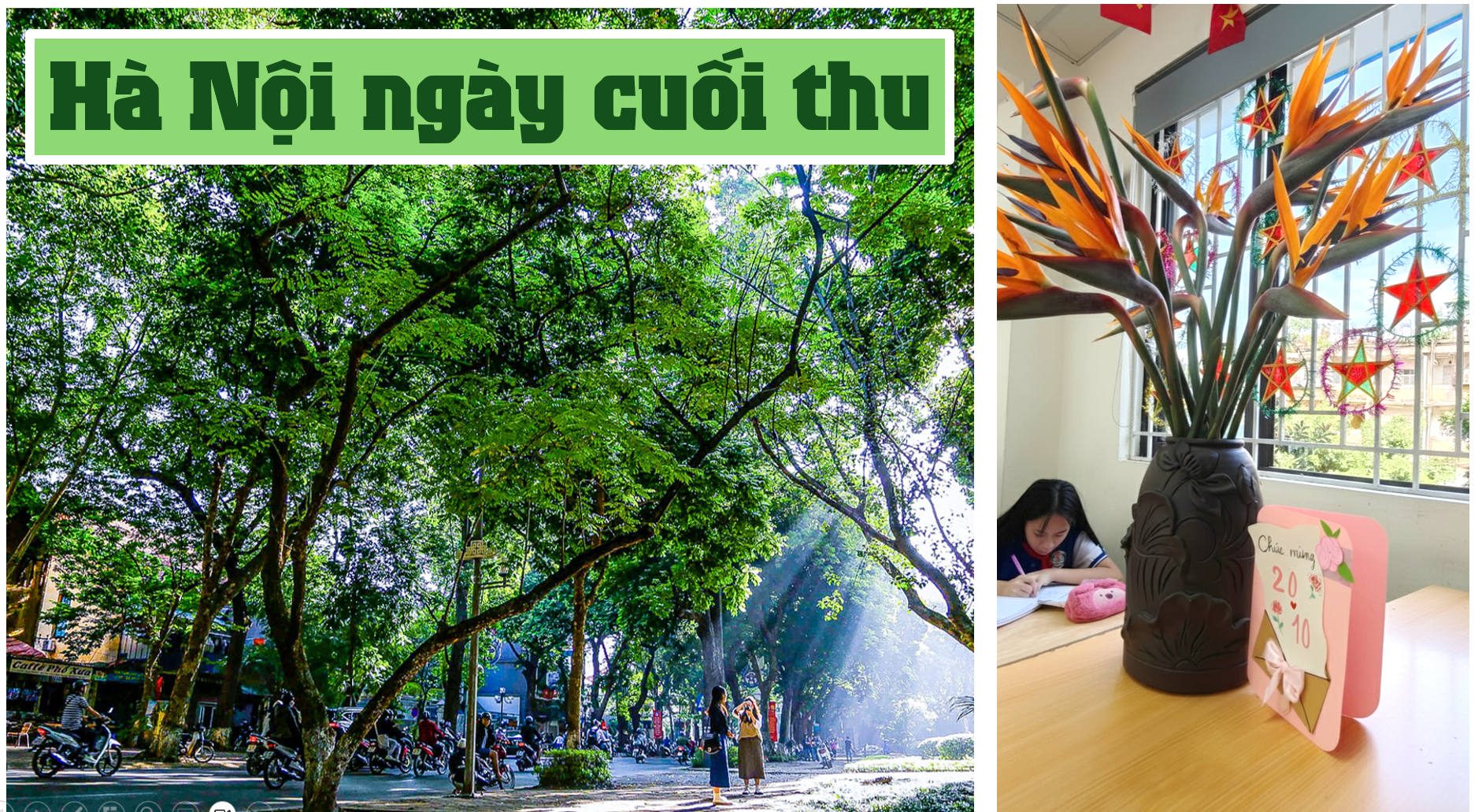 Ảnh có chứa cây cối, chậu hoa, văn bản, cây trồng trong nhà

Nội dung do AI tạo ra có thể không chính xác.