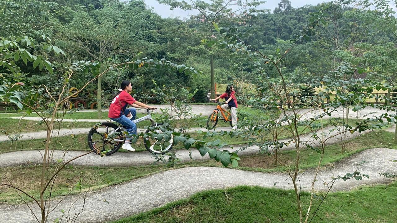 Ảnh có chứa ngoài trời, cây cối, bánh xe, thực vật

Nội dung do AI tạo ra có thể không chính xác.