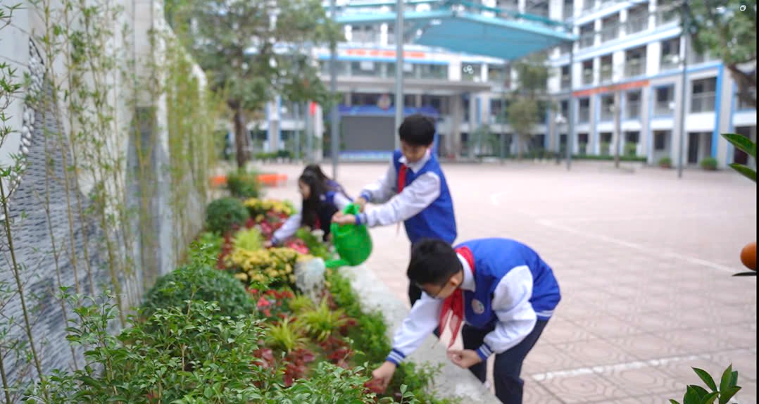 Ảnh có chứa ngoài trời, trang phục, người, thực vật

Mô tả được tạo tự động