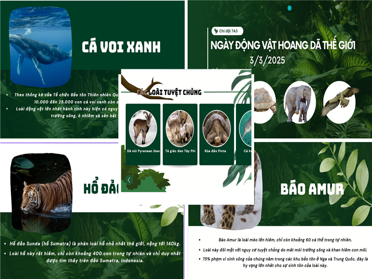 Ảnh có chứa văn bản, ảnh chụp màn hình

Nội dung do AI tạo ra có thể không chính xác.