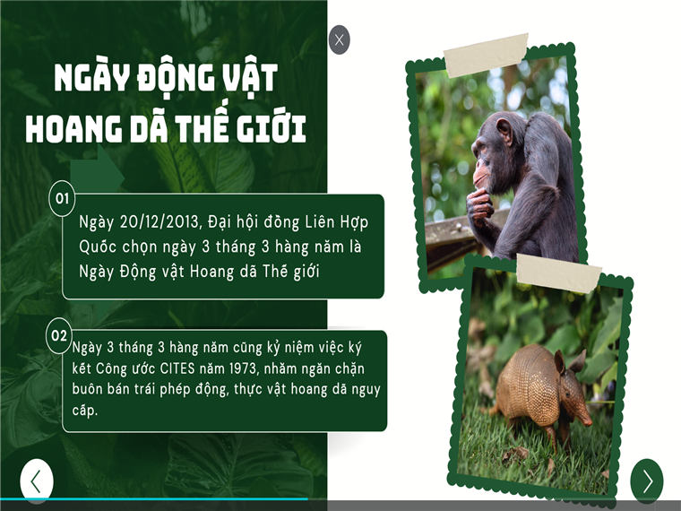 Ảnh có chứa văn bản, con khỉ, động vật có vú, khỉ

Nội dung do AI tạo ra có thể không chính xác.