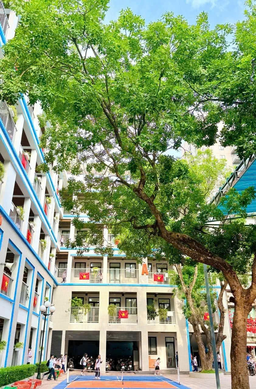 Ảnh có chứa cây cối, ngoài trời, tòa nhà, cửa sổ

Nội dung do AI tạo ra có thể không chính xác.