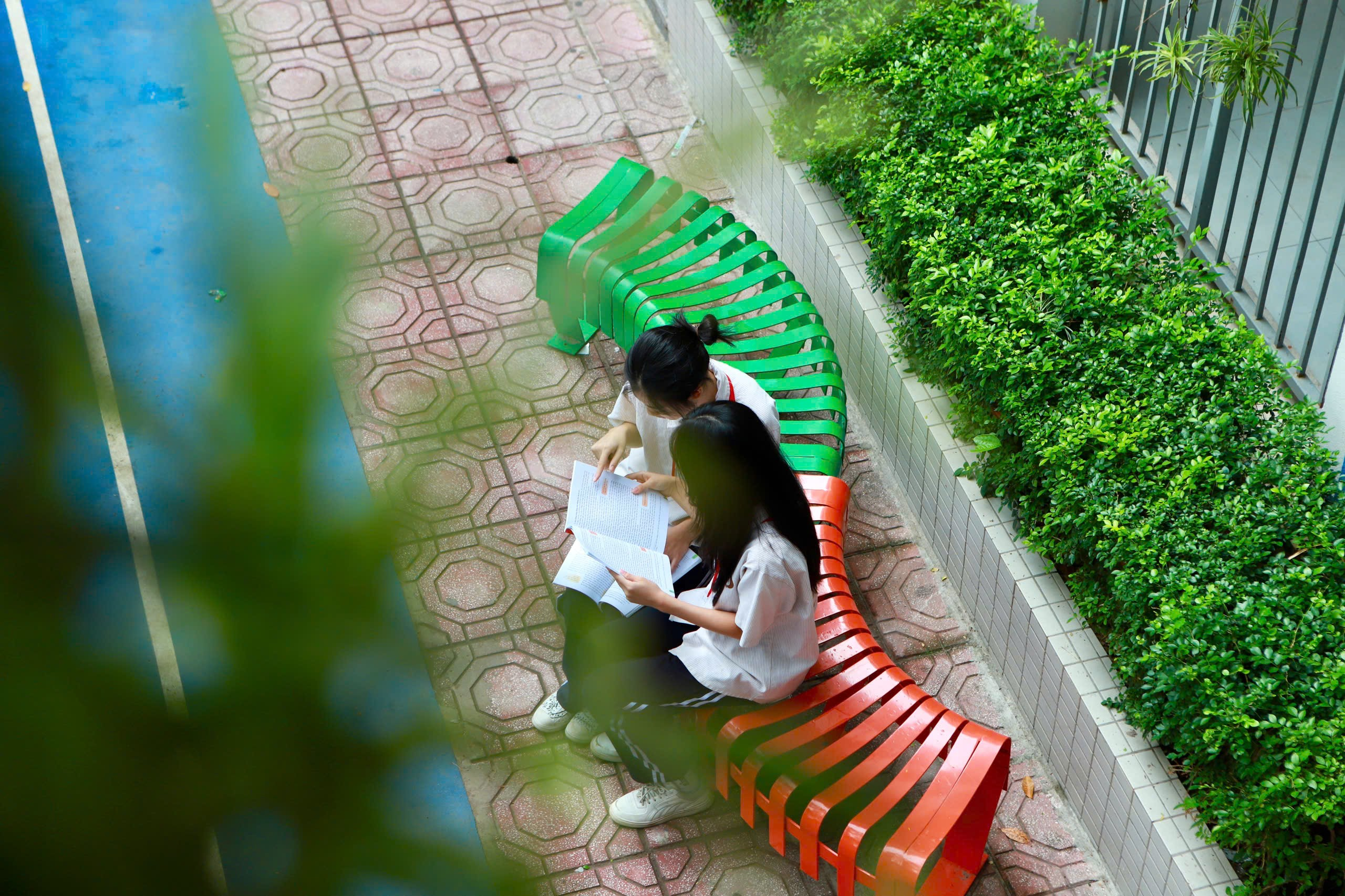 Ảnh có chứa trang phục, thực vật, ngoài trời, cỏ

Nội dung do AI tạo ra có thể không chính xác.