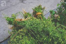 Hương mùi già chiều cuối năm