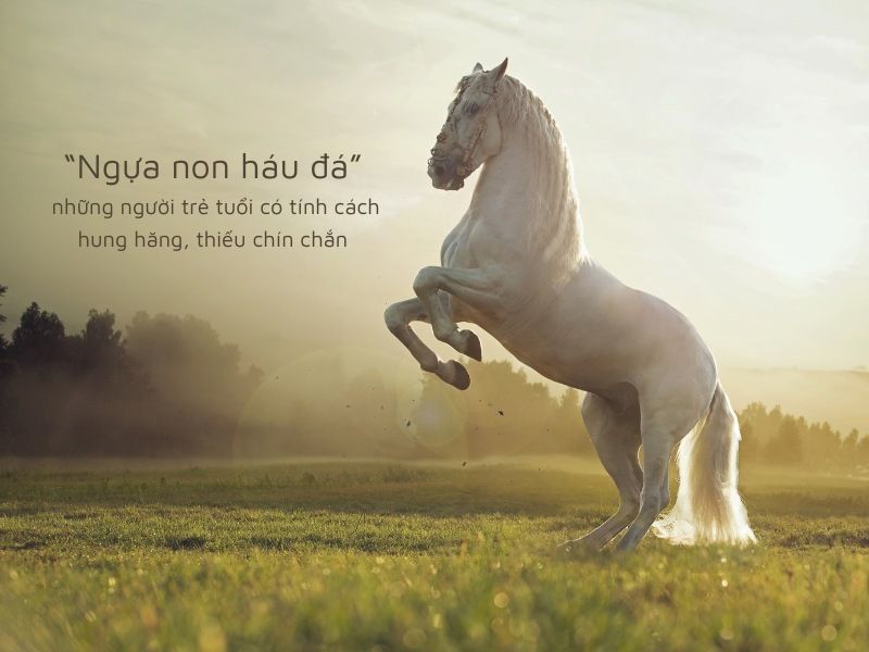 Giải thích ý nghĩa câu thành ngữ “Ngựa non háu đá”
