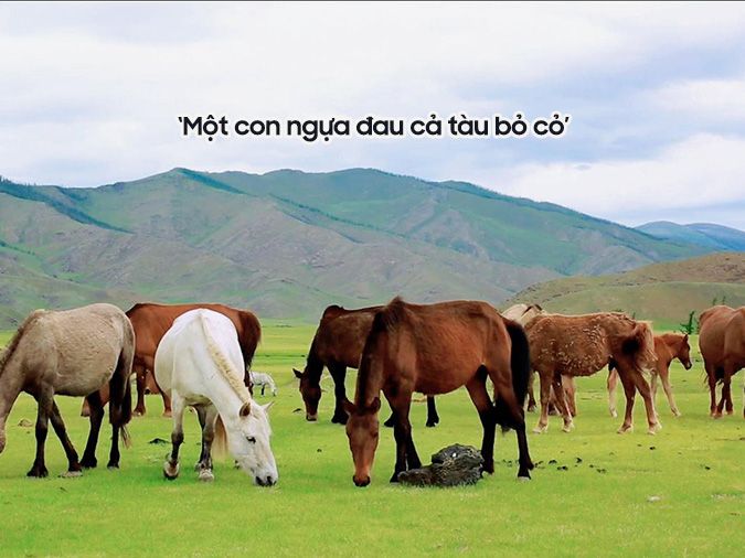 Giải thích ý nghĩa tục ngữ 'Một con ngựa đau cả tàu bỏ cỏ'