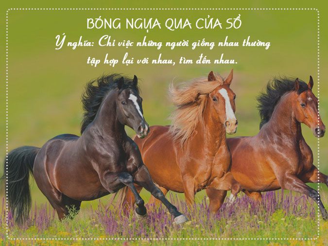 60 câu ca dao, tục ngữ, thành ngữ về con ngựa (chứa từ ngựa, mã)