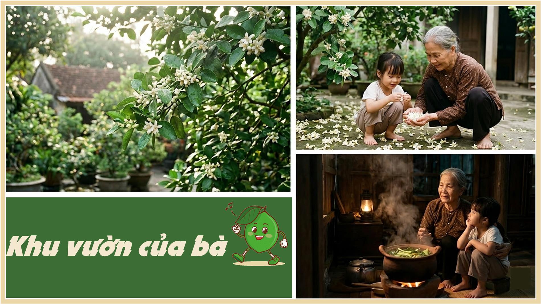 Khu vườn của bà