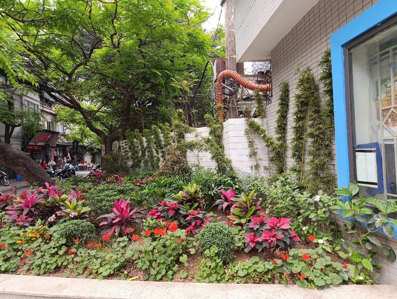 Khi sân trường đầy sắc nắng và thơm ngát hương hoa