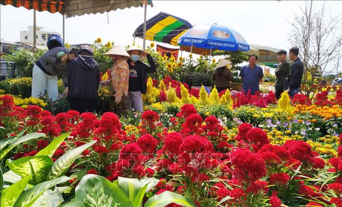 Nhộn nhịp chợ hoa tết 2019 | baotintuc.vn