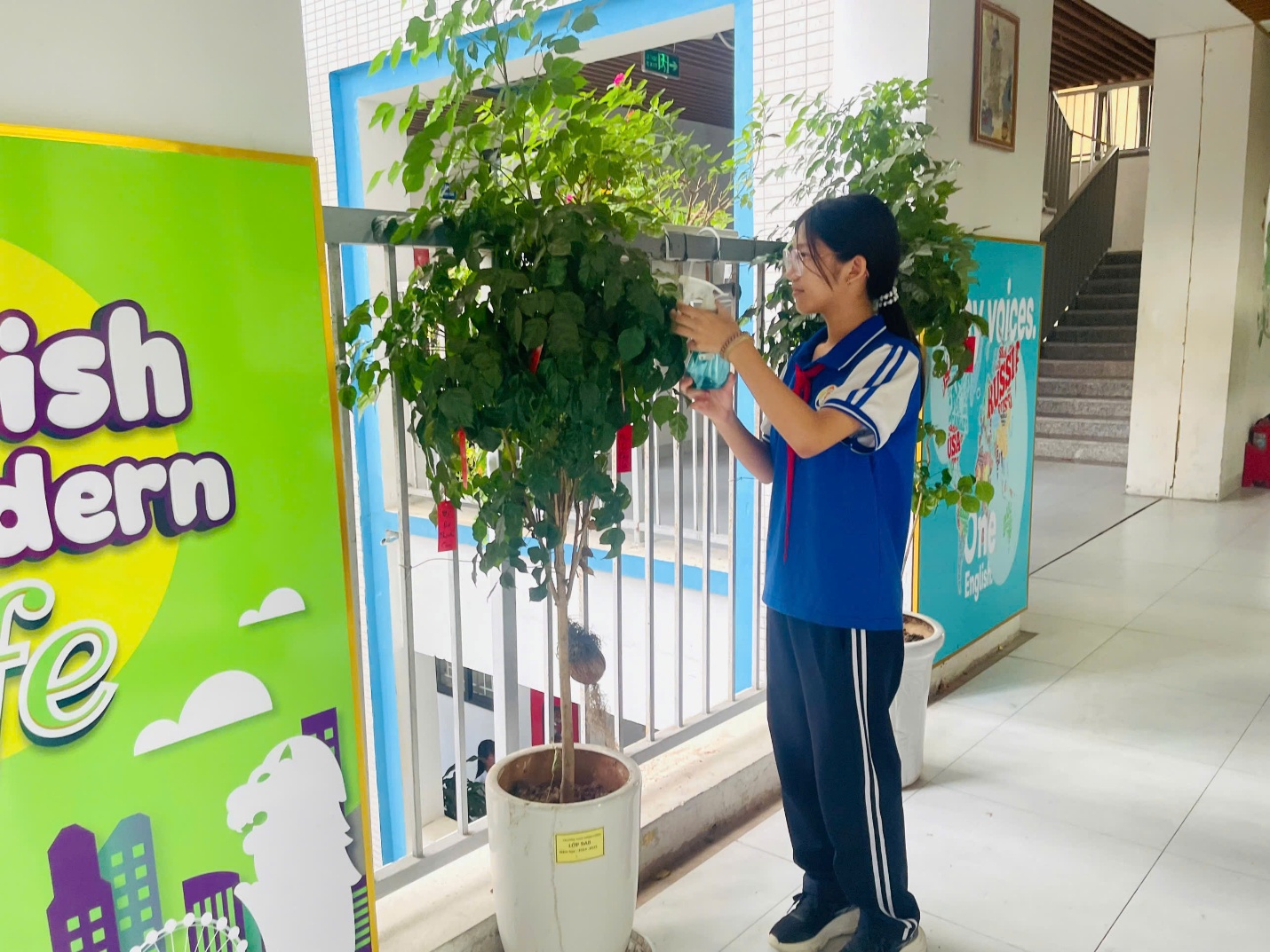 C:\Users\Nguyễn Thu Hòa\Downloads\1791795671458_1863028109638595646_5726923816974287518_6ba1d325001c6eb2423fb6081938f86d.jpg