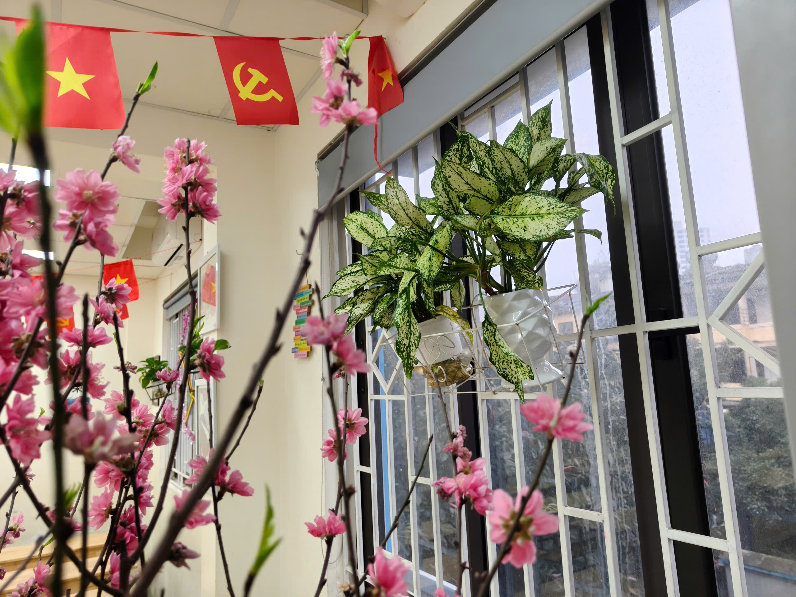 Ảnh có chứa hoa, tòa nhà, cửa sổ, màu hồng
Nội dung do AI tạo ra có thể không chính xác.