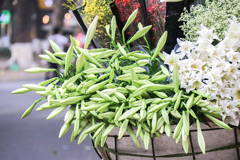 Hoa loa kèn xuống phố gọi tháng 4 về