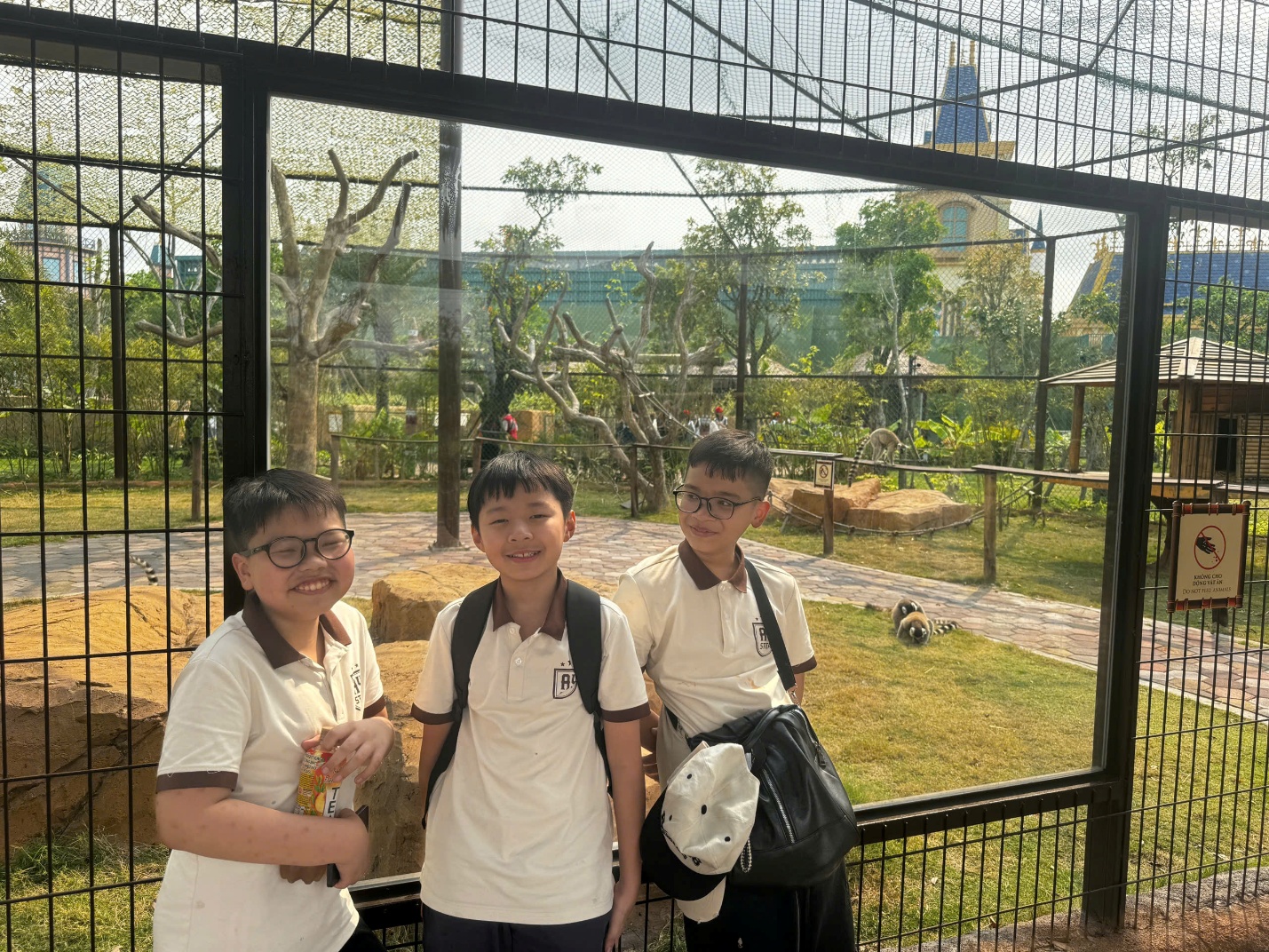 C:\Users\Nguyễn Thu Hòa\Desktop\1790261652443_1863028109638595646_g1454359421642411466_d3f89316ac9ff9f6fe98e3461178efbd.jpg