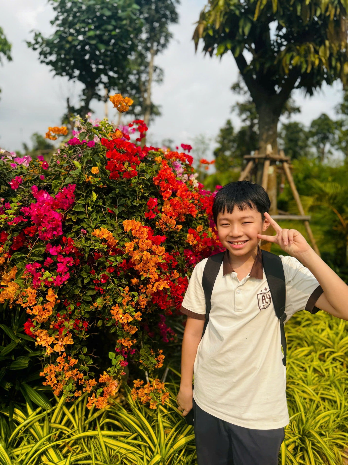 C:\Users\Nguyễn Thu Hòa\Desktop\1790261652409_1863028109638595646_g1454359421642411466_3e51d7551fe19f27805b8fd79ef775d9.jpg